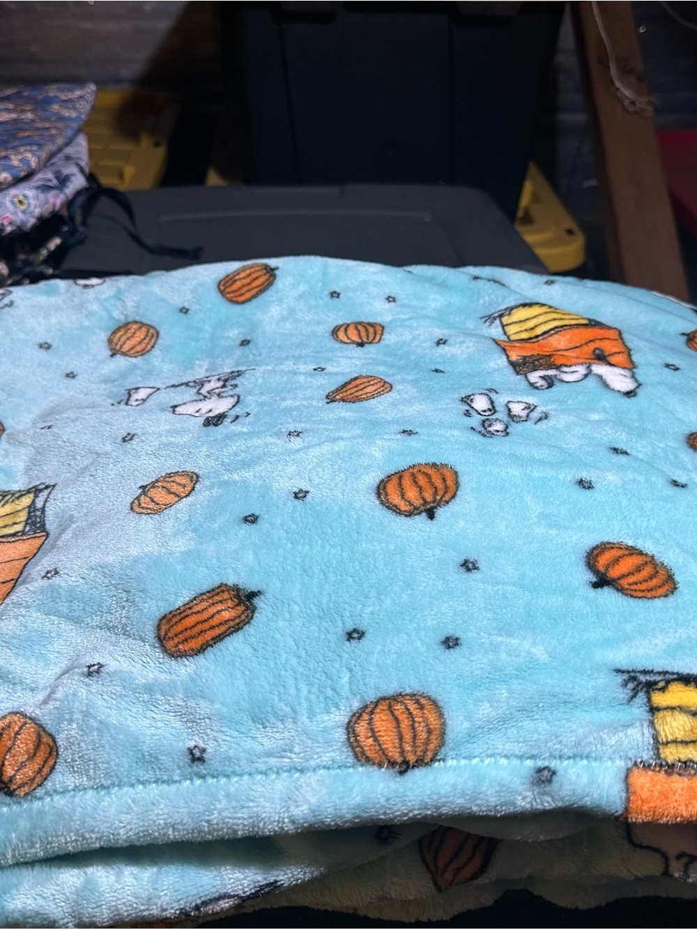 Light Blue Pumpkin Print Plush Blanket twin size